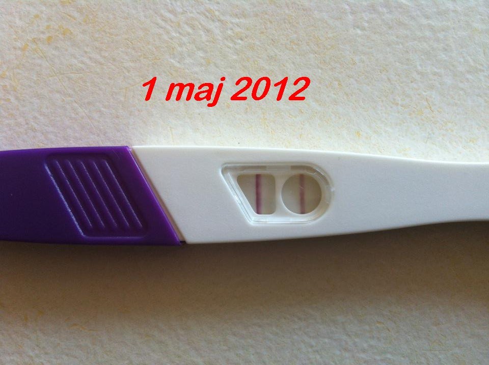 g punkt stimulering ægløsning gravid hvornår g punkt stimulering ægløsning gravid hvornår