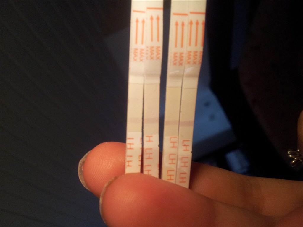 mogne damer hvornår kan man blive gravid mogne damer hvornår kan man blive gravid