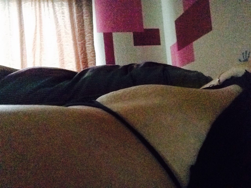zoo Sjælland bedste pornostjerne 2017 zoo Sjælland bedste pornostjerne 2017