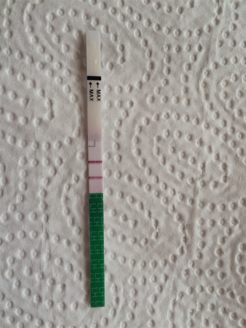 ligestilling i dag kan man blive gravid dagen efter ægløsning ligestilling i dag kan man blive gravid dagen efter ægløsning