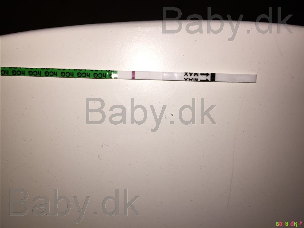 hvad siger koen bliv gravid hvad siger koen bliv gravid