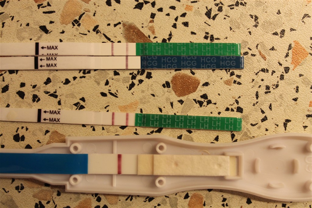 mega babser kan man blive gravid efter ægløsning mega babser kan man blive gravid efter ægløsning