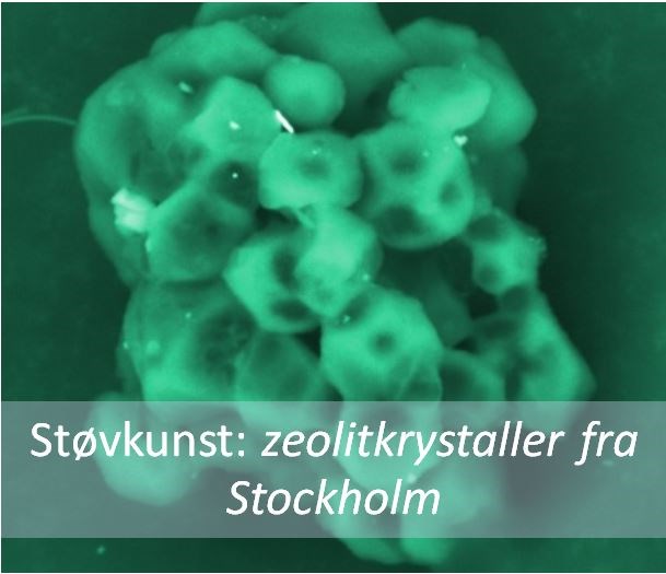 En støvsugerposes bekendelser  
