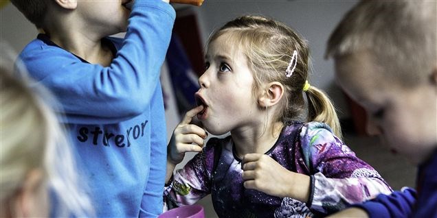 Kommuner sløser med optælling af lukkedage Kommuner sløser med optælling af lukkedage